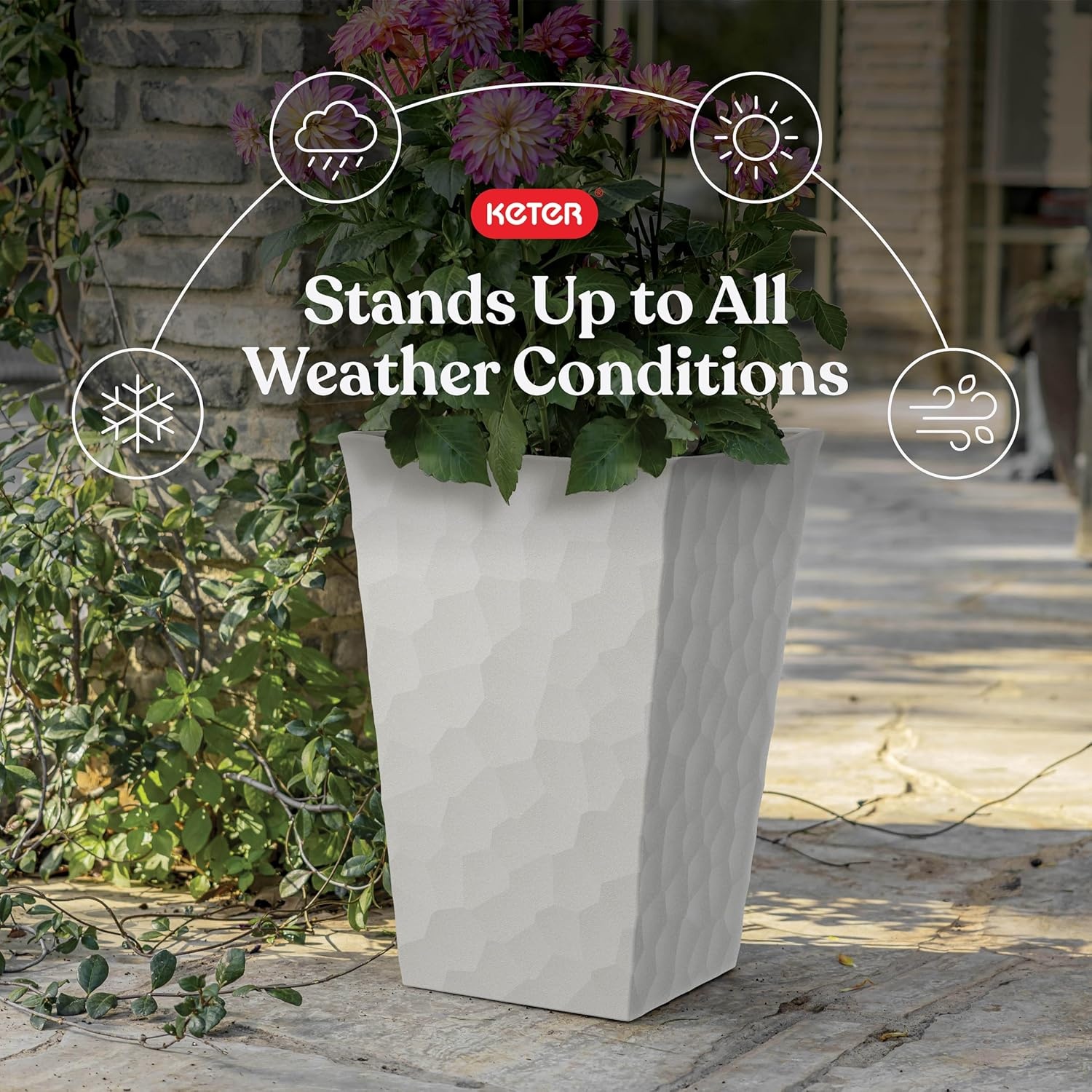 image:imageKeter Set of 2 Resin Modern Outdoor 22 Inch Tall Large Flower Pots Tapered Wood Look Planters for Outdoor Plants and Front Porch Decor GraphiteCream
