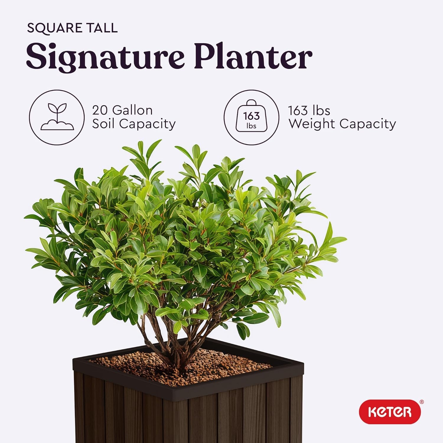 image:imageKeter Signature 216 Inch Tall Square Large Wood Look Planter for Indoor or Outdoor Flower Pot Ideal for Patio Deck and Front Porch Decor RosewoodSquare